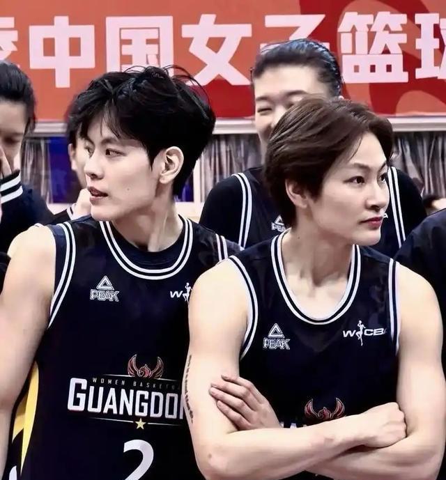 杨力维杨舒, 的决定, msn